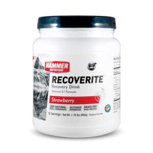 Hammer Recoverite (16 porciones)